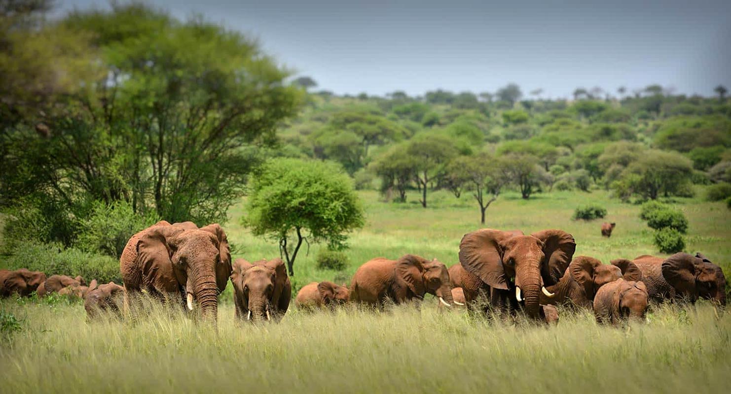 4-Days-Safari-Serengeti-&-Ngorongoro-Crater