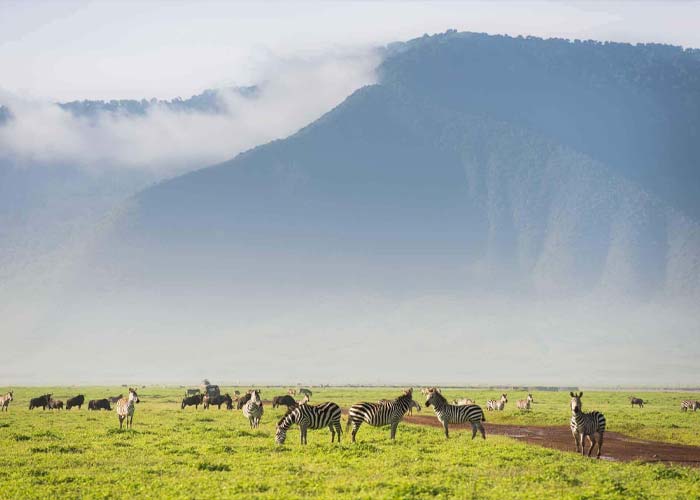 Ngorongoro-Conservation-Area,-Ngorongoro-Crater